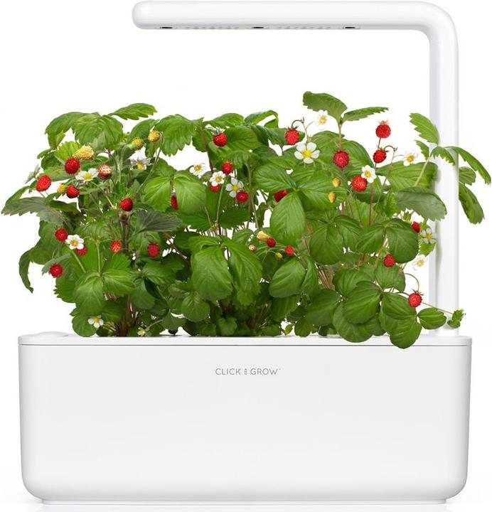 Actual product image Click and Grow Smart Garden (31.50 cm)