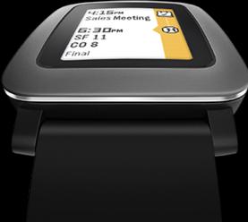 Actual product image Pebble Time