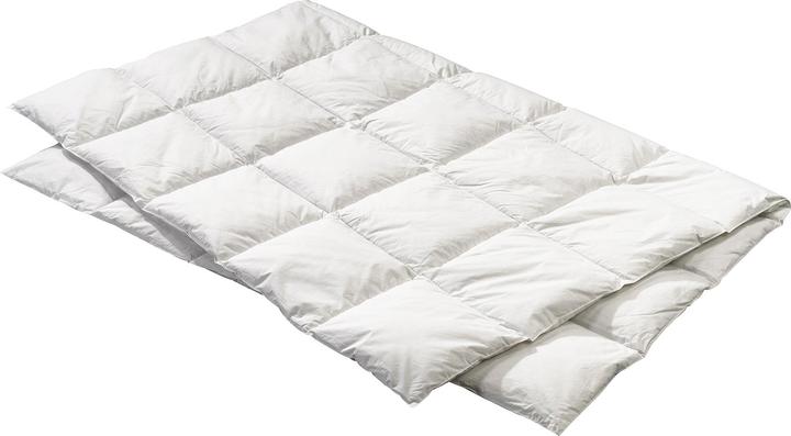 Image du produit Billerbeck Edition Elwine moyen (750 g, 160 x 210 cm)