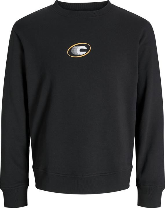 Actual product image Jack & Jones Jcovibrant Sweat Crew Neck Styd Aw24 (XL)