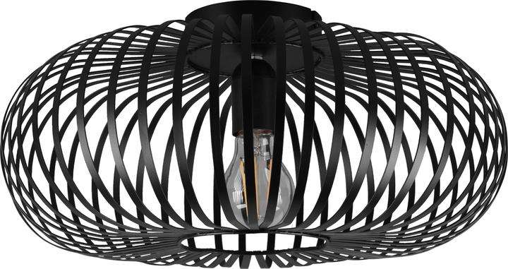 Actual product image Trio Johann (E27)