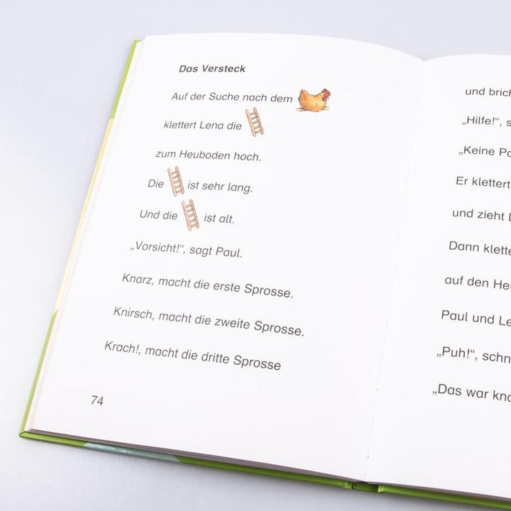 Produktbild Das grosse Buch zum Lesenlernen (Deutsch, Antje Schwenker, Gerhard Schröder, Irmtraut Teltau, Sigrid Leberer, Manuela Mechtel, Peter Friedl, Ulrike Pohlmann, 2009)