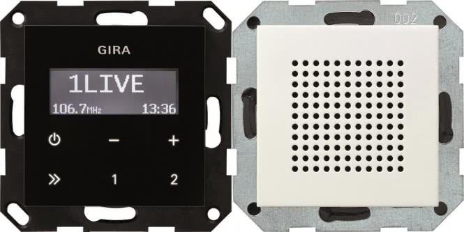 Actual product image Gira System 55 (FM)
