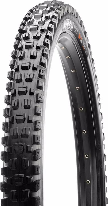 Actual product image Maxxis Assegai WT TR EXO+ 60 TPI 3C Terra (29 x 2.50, 63-622)
