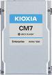 Produktbild Kioxia CM7-R (7680 GB, 2.5")