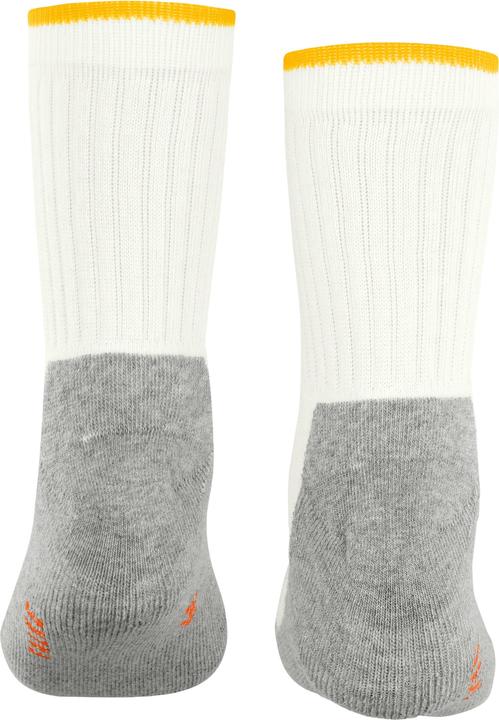 Actual product image Falke Active Everyday SO (23 - 26)