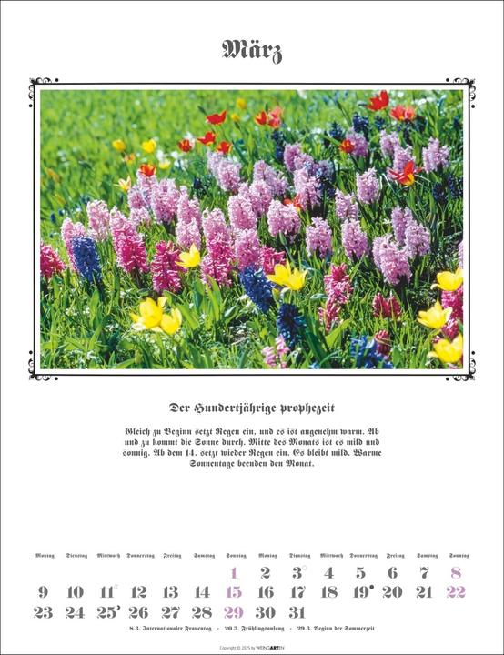 Produktbild Der Hundertjährige Kalender 2026 (30 x 39 cm, Deutsch)