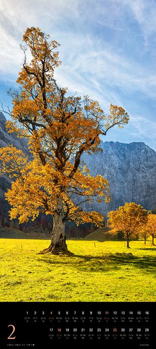 Produktbild Trees 2024 (30 x 30 cm, Harter Einband, Englisch, Italienisch, Französisch, Tschechisch, Niederländisch, Spanisch, Deutsch, Polnisch)