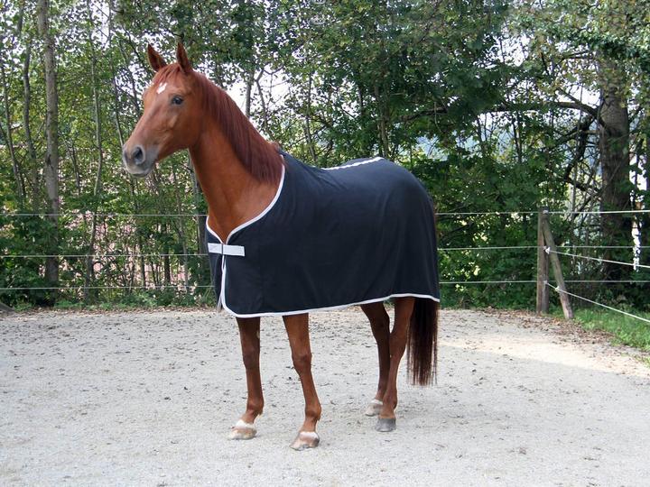 Produktbild Kerbl RugBe Fleecedecke (135 cm)