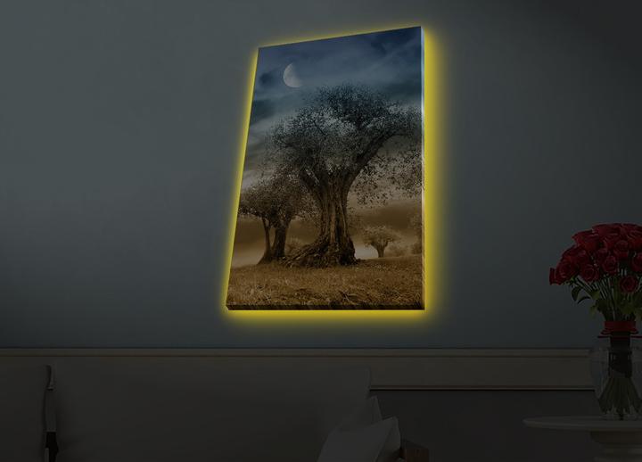 Produktbild Wallxpert Marco (45 x 70 cm)