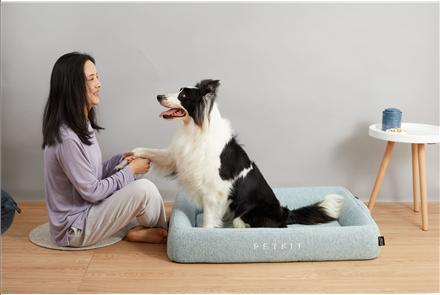 Actual product image Petkit Deep Sleep All Season Pet Bed M Žalias (Dog)