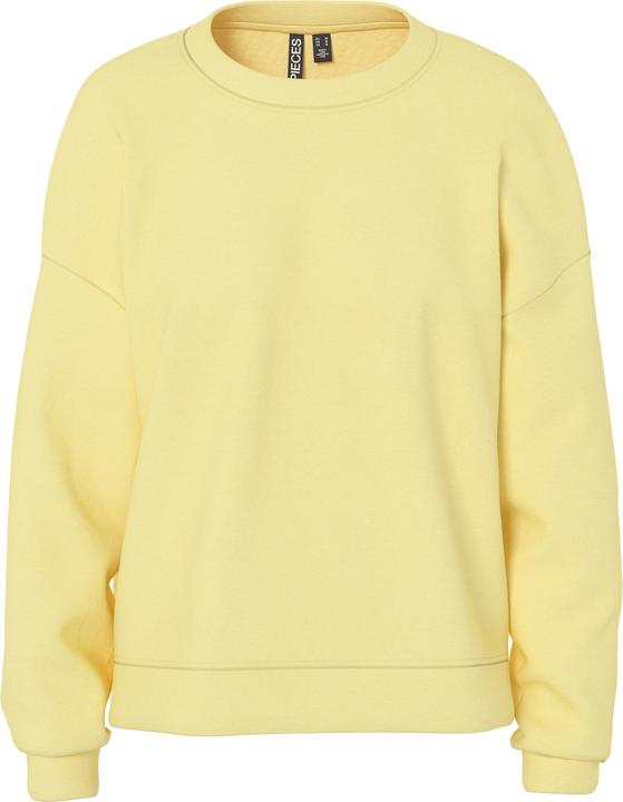 Pieces PCCHILLI LOOSE FIT Sweatshirt