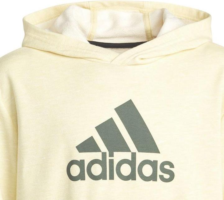 Produktbild adidas Badge of Sport Kapuzenpullover Jr (164)
