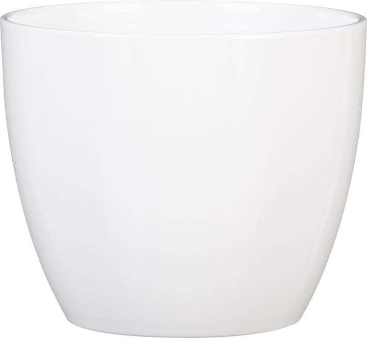 Actual product image Scheurich Cachepot Alaska ceramic Ø14cm white (14 cm)
