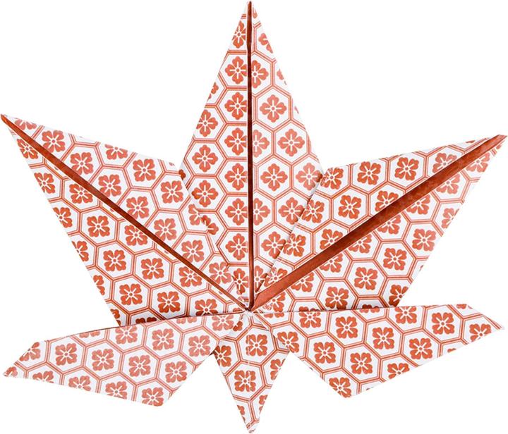 Image du produit Clairefontaine Origami automne (70 g/m², 60 x)