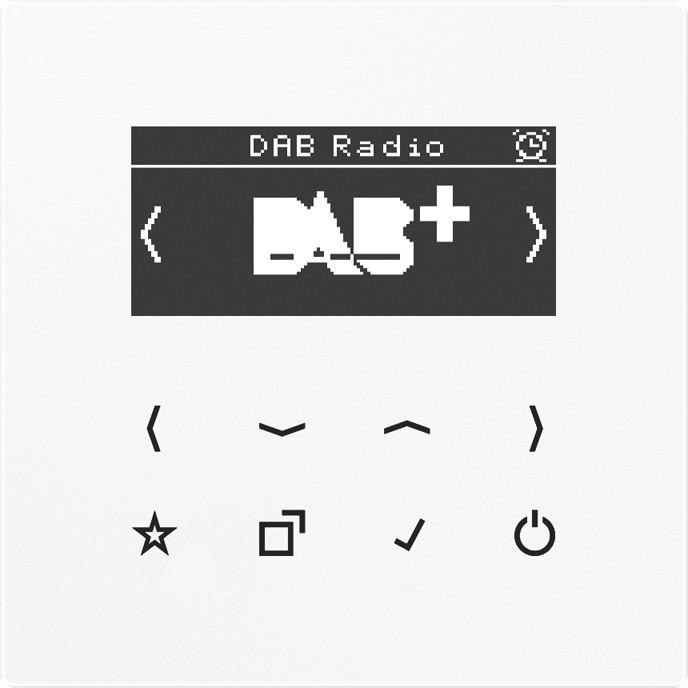 JUNG Smart Radio DABLSWW DAB+ (Radio Tuner)