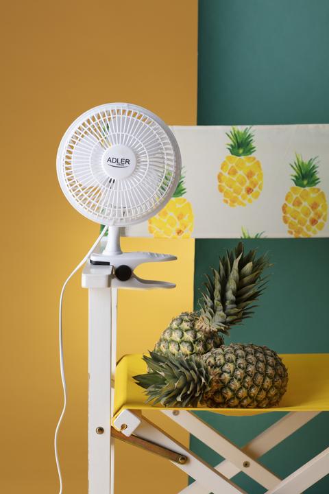 Actual product image Adler AD7317 (46.44 dB)