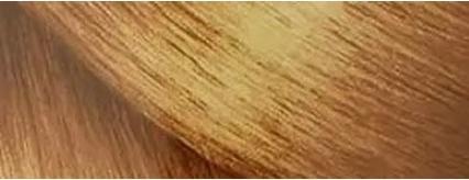 Goldwell Dualsenses Rich Repair (Restoring Shampoo)