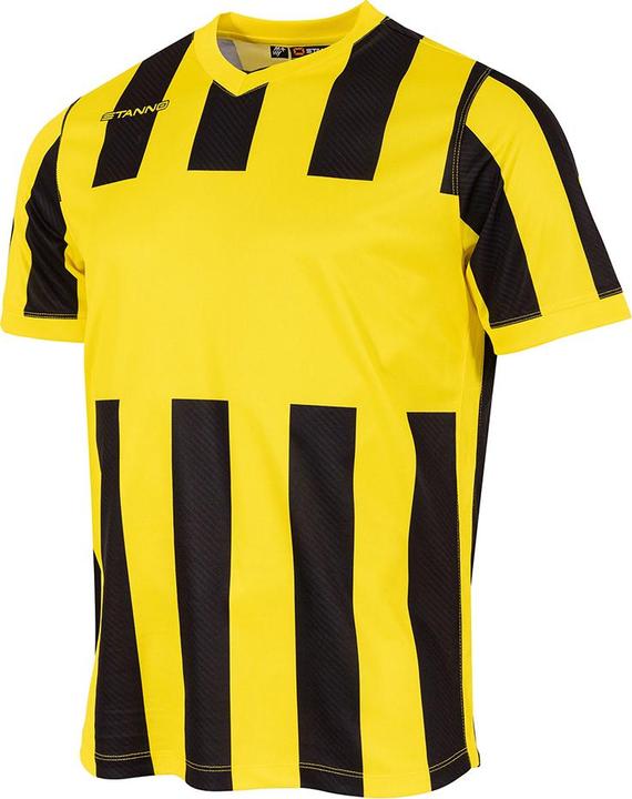Stanno Aspire Trikot