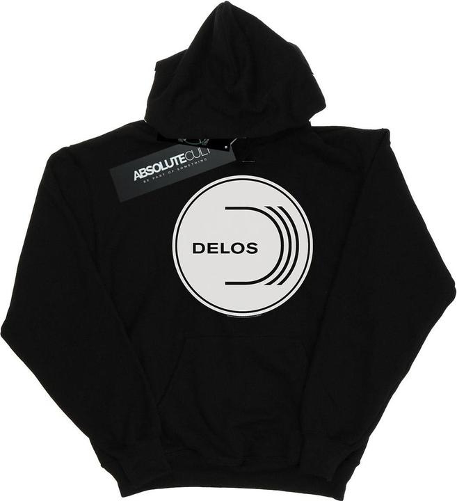 Produktbild Westworld Delos Circular Logo Kapuzenpullover (4XL)