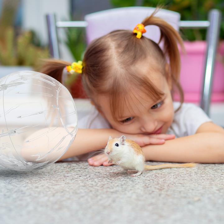 Actual product image Relaxdays Hamster ball