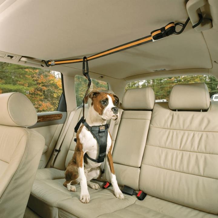 Actual product image Kurgo Car Zip Line & Leash (Dog, Reflectors)