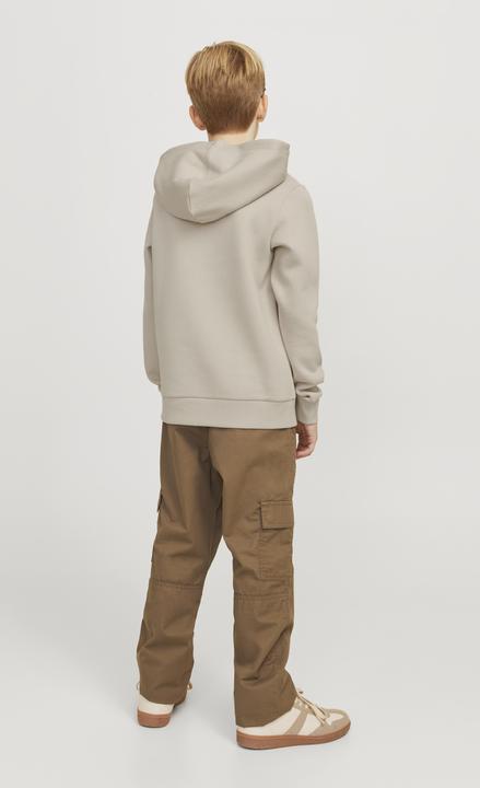 Actual product image Jack & Jones JJELOGO SWEAT HOOD 2 COL 24/25 NOOS JNR (176)