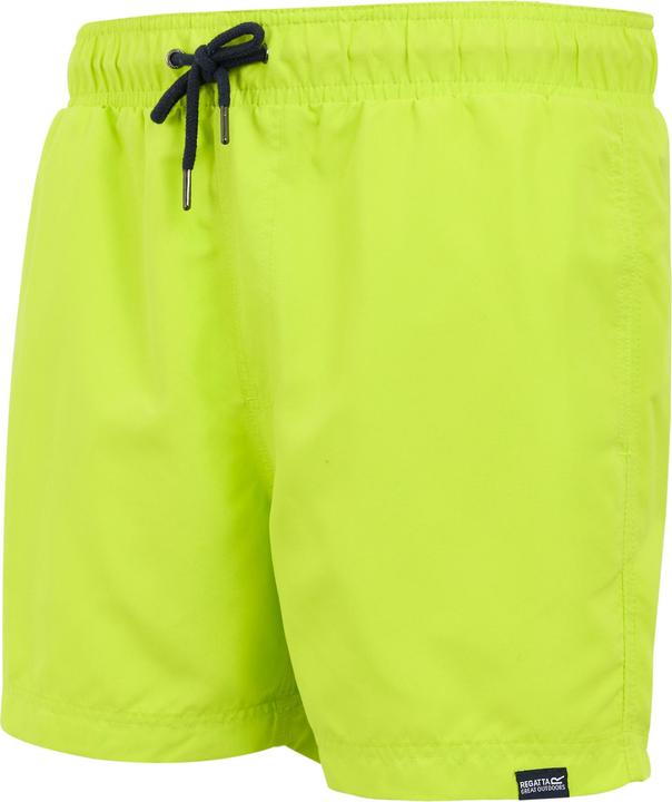 Produktbild Regatta Mawson II Kurze Hose (XXL)