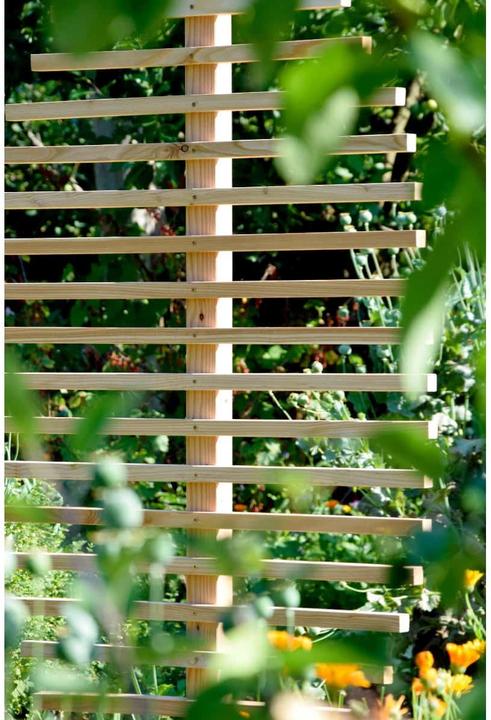 Produktbild Dobar Rankgitter (84 cm, 6.50 cm)