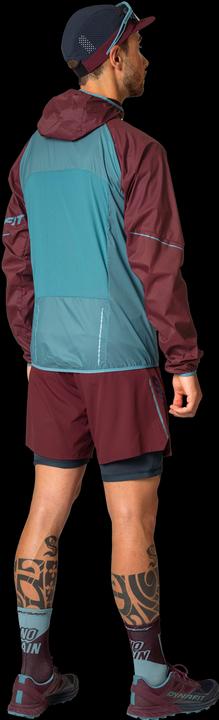 Immagine prodotto Dynafit Giacca a vento Alpine (54, XXL)