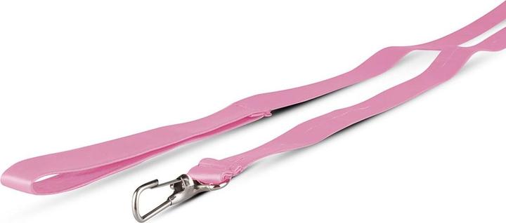 Produktbild Secret Pleasure Chest Pink Pleasure