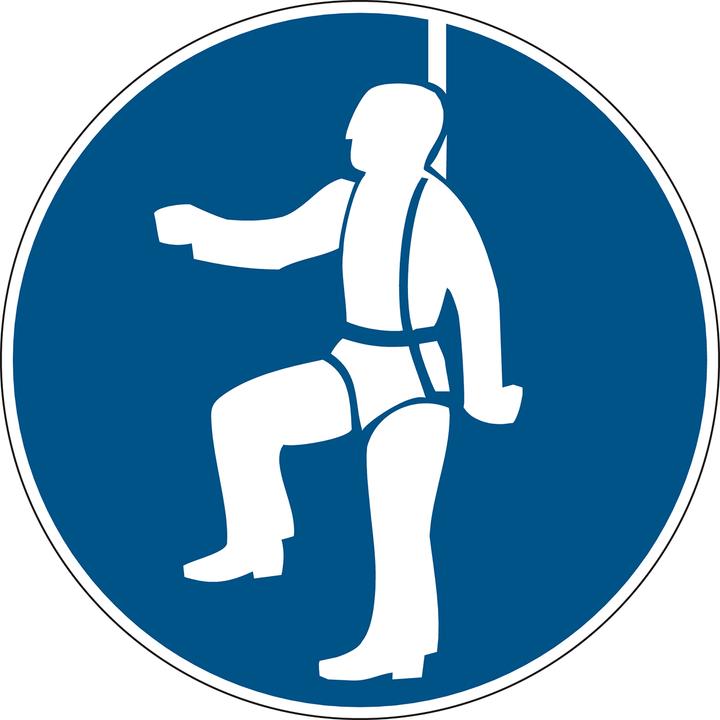 Actual product image Brady PIC 273-DIA 100-B7525, Mandatory signs - Put on safety harness