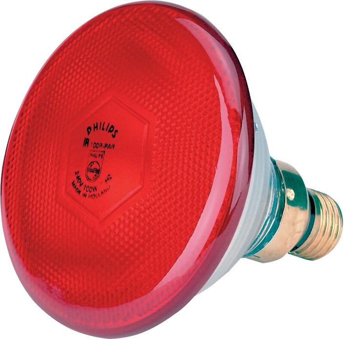Produktbild Philips Infrarot-Wärmelampe (175 W)