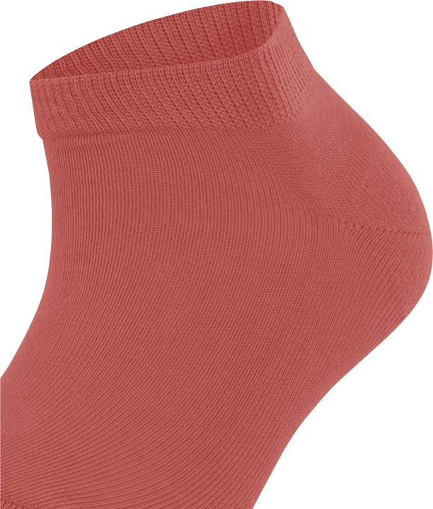Actual product image Falke Family Damen Sneakersocken (35 - 38)