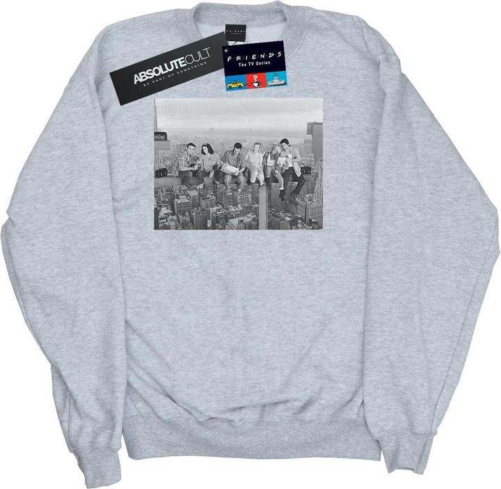 Friends Construction Photo Sweatshirt (L)