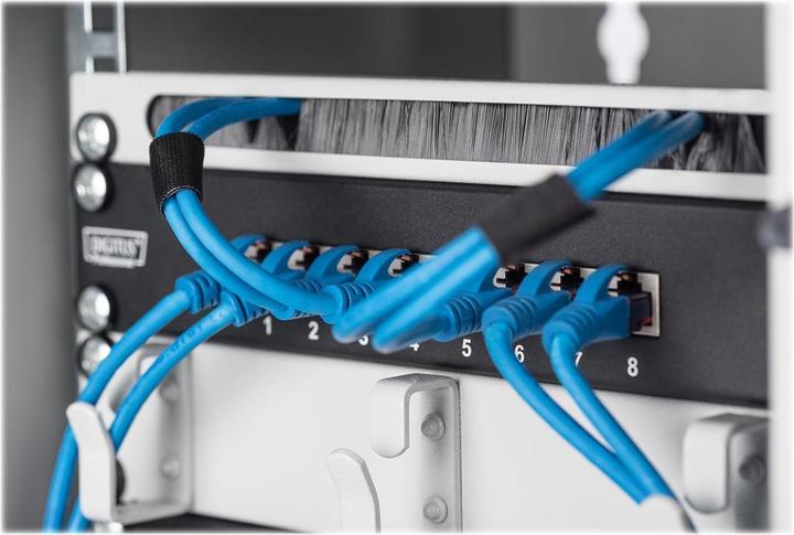 Immagine prodotto Digitus Custodia professionale a parete (9 HE, Portapacchi da 10 pollici)