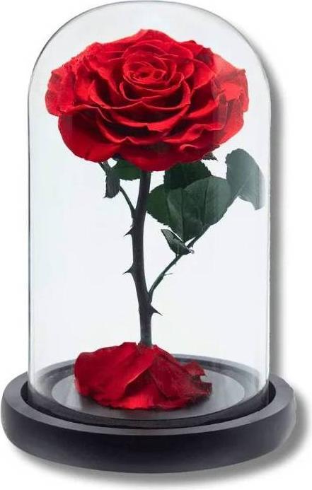 Produktbild La Belle Rose Infinity Dome echte Rose im Glas (1 -teilig)