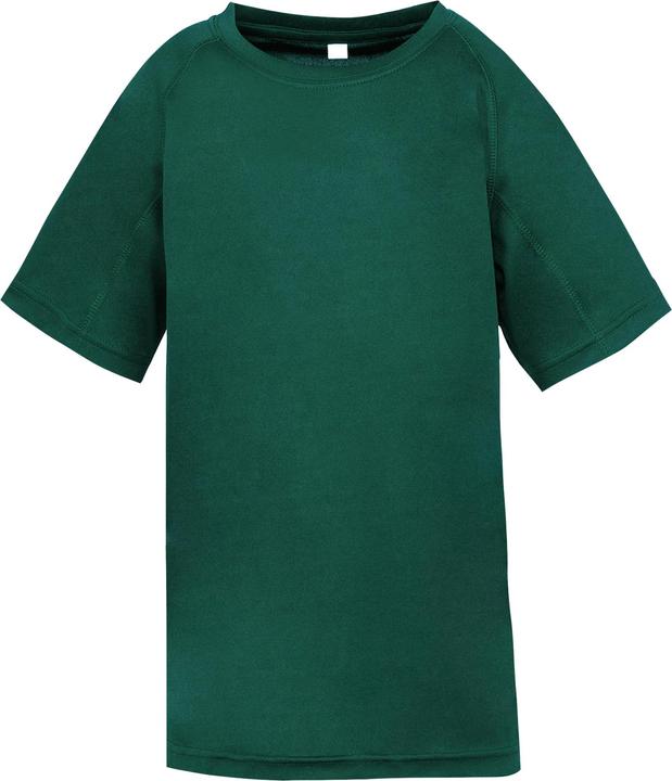 verde bottiglia
