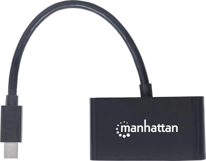 Immagine prodotto Manhattan Convertitore video (Mini DP, 7.30 cm)