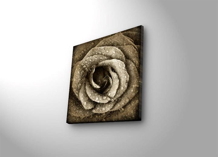 Produktbild Wallxpert Isabela (40 x 40 cm)