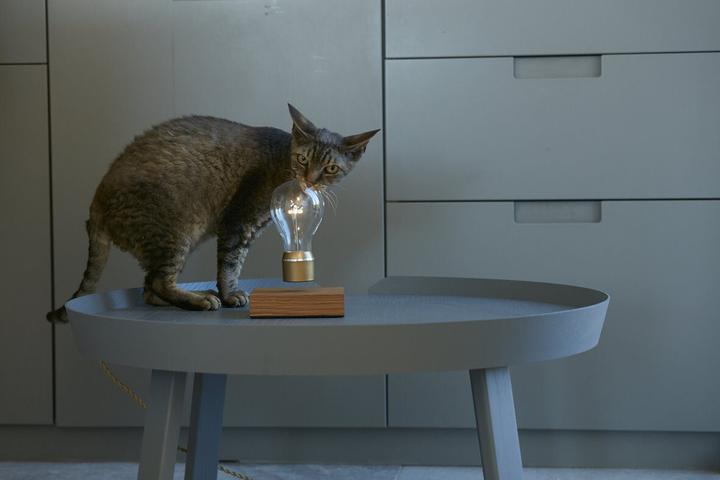 Immagine prodotto Flyte Lampada Nikola a levitazione (60 lm)