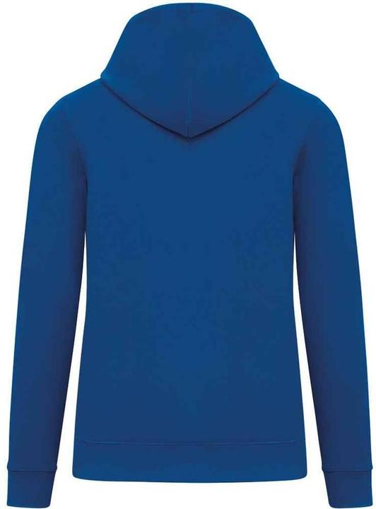 Produktbild Native Spirit Kapuzenpullover Schwer (XL)
