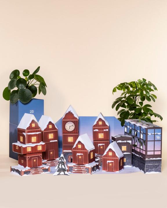 Image du produit feey Calendrier de l'Avent des plantes (60 cm)