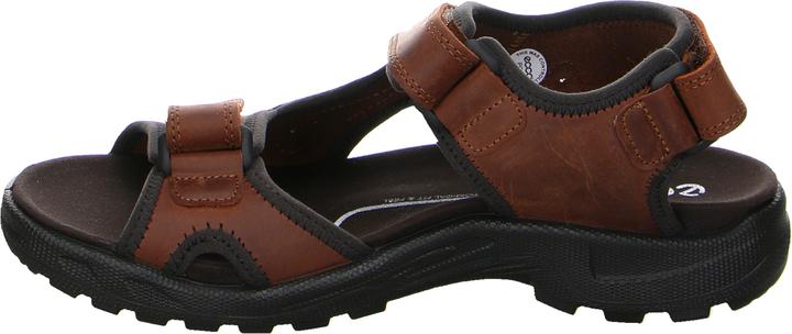 Produktbild Ecco Hike M (48)