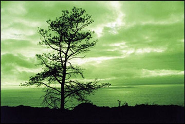 Actual product image Cokin Filter A004 (62 mm, Colour filters, 62 mm)