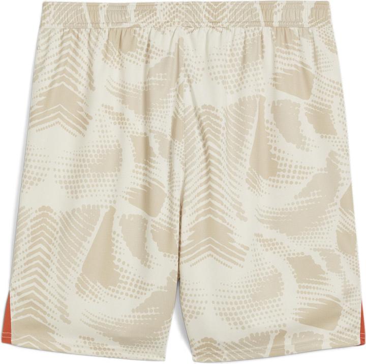 Image du produit Puma BVB GK Short Replica (S)