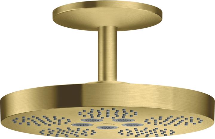 Brushed Brass