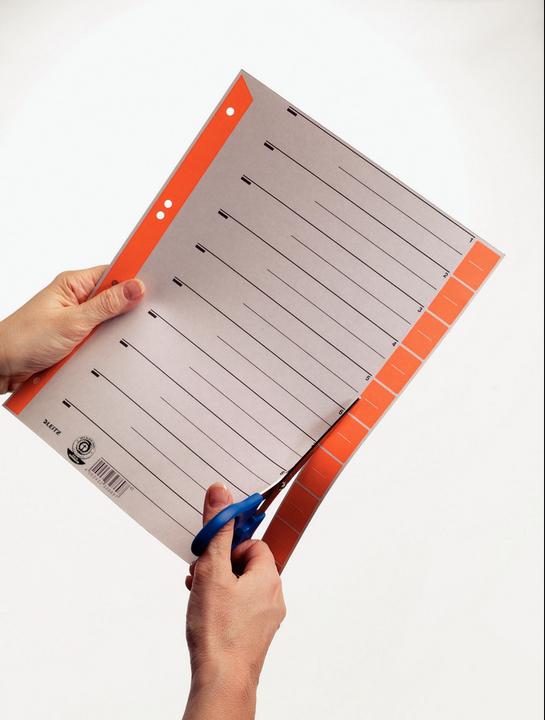 Image du produit Leitz Intercalaire, A4 extra large, carton kraft 230g/qm, jaune en carton gris avec onglets jaunes, Bla