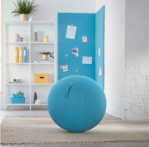 Image du produit Leitz Ballon-siège Ergo Cosy Active (65 cm)