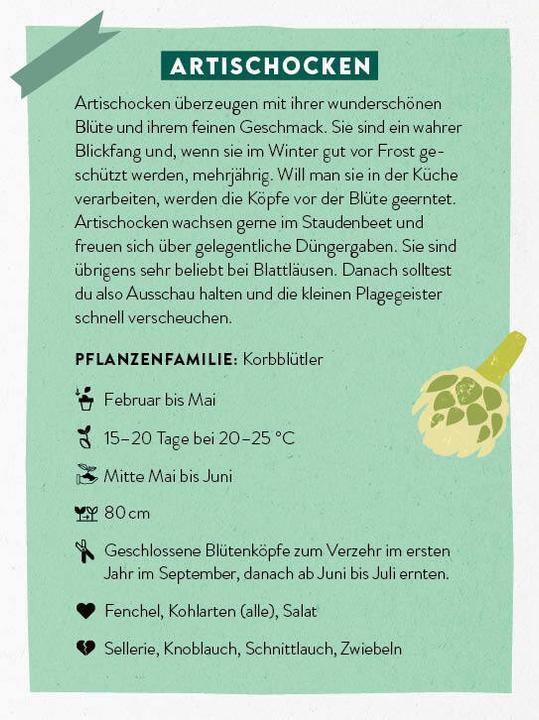 Produktbild Kartenset: Keine Zeit zu gärtnern - 64 Karten - Einfach und schnell zum Gemüsegarten (Deutsch)